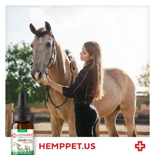 HempPet social media image