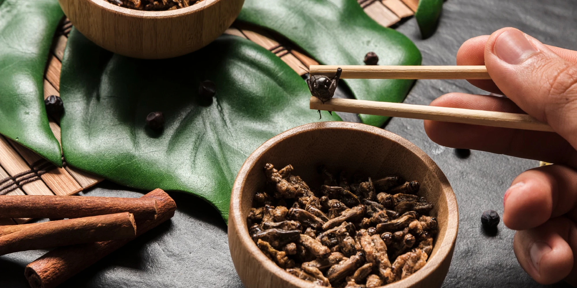 Lion’s Mane and Cordyceps mushrooms for cognitive health